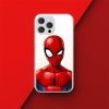 DC Comics Back Case Spider Man 012 iPhone 7/8/SE 2