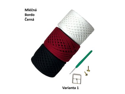 varianta 1