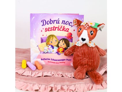 Obálka knihy Dobrú noc, sestrička s ilustráciou sestier pred spaním.