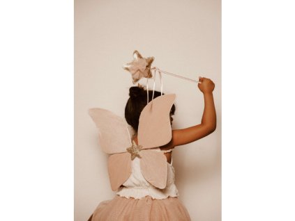 dievčatko s čarovnou paličkou MRS. ERTHA Pink Butterfly v rozprávkovom kostýme