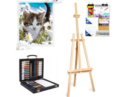 d123529e8c0012bbb33e3dfe1779a4c8