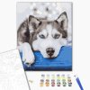 Malování podle čísel, vypnuté plátno na rám - Husky