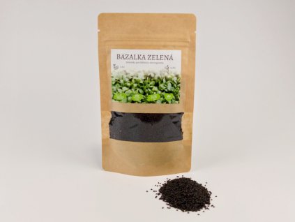 Semínka bazalky zelené na microgreens – Ocimum basilicum