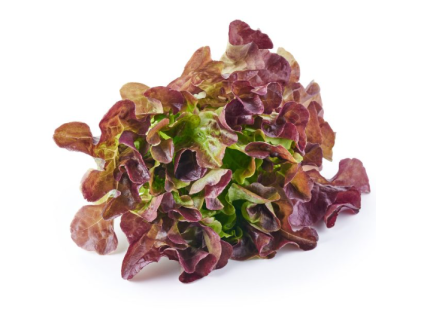 redsaladbowl1