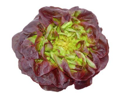 merveille1