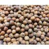 maple lef microgreens 2