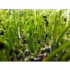porek microgreens 2