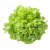 salat1