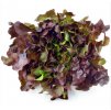 salat3