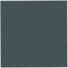 light anthracite
