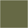 avocado green
