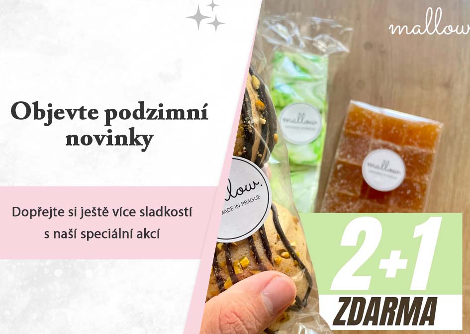 2+1 zdarma