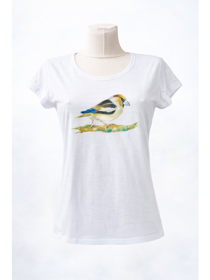 ChatGPT Image 7. 2. 2026 13 17 56