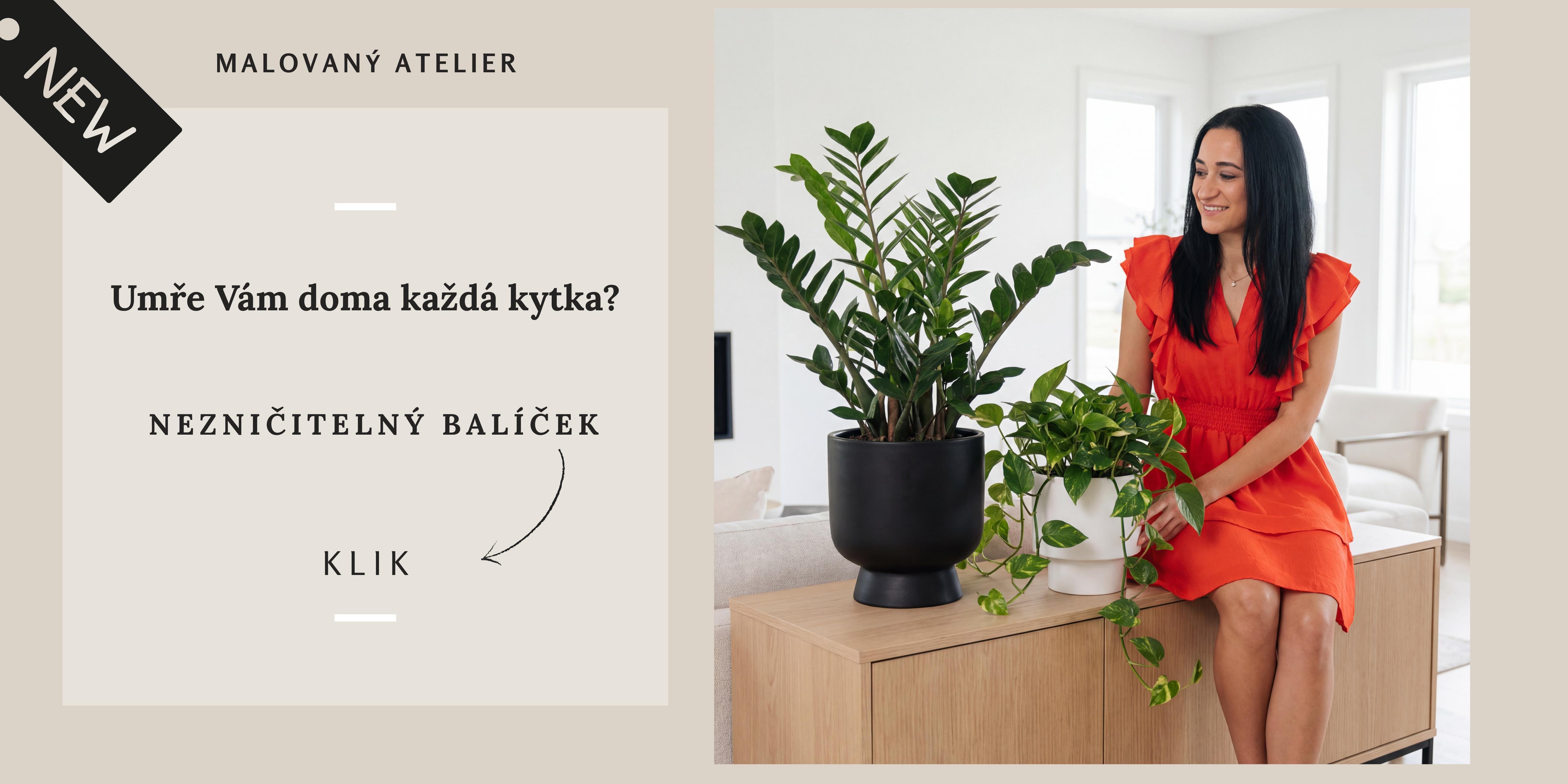 Nezničitelný balíček