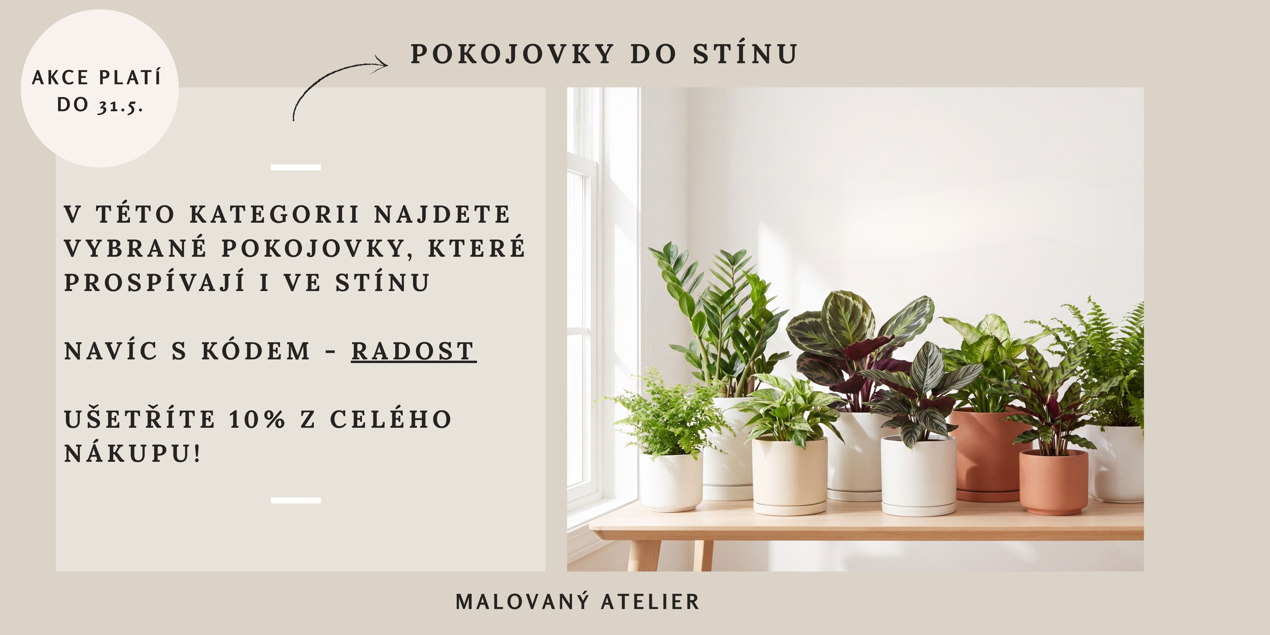Pokojovky do stínu