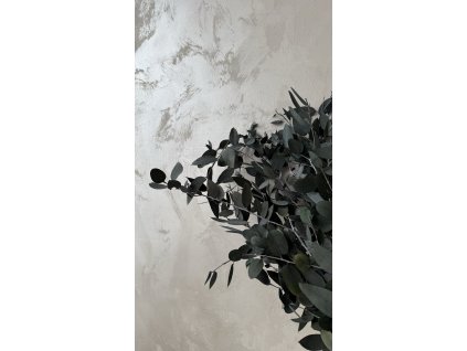 Stabilizovaný eukalyptus