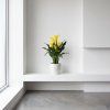 Kala - Zantedeschia