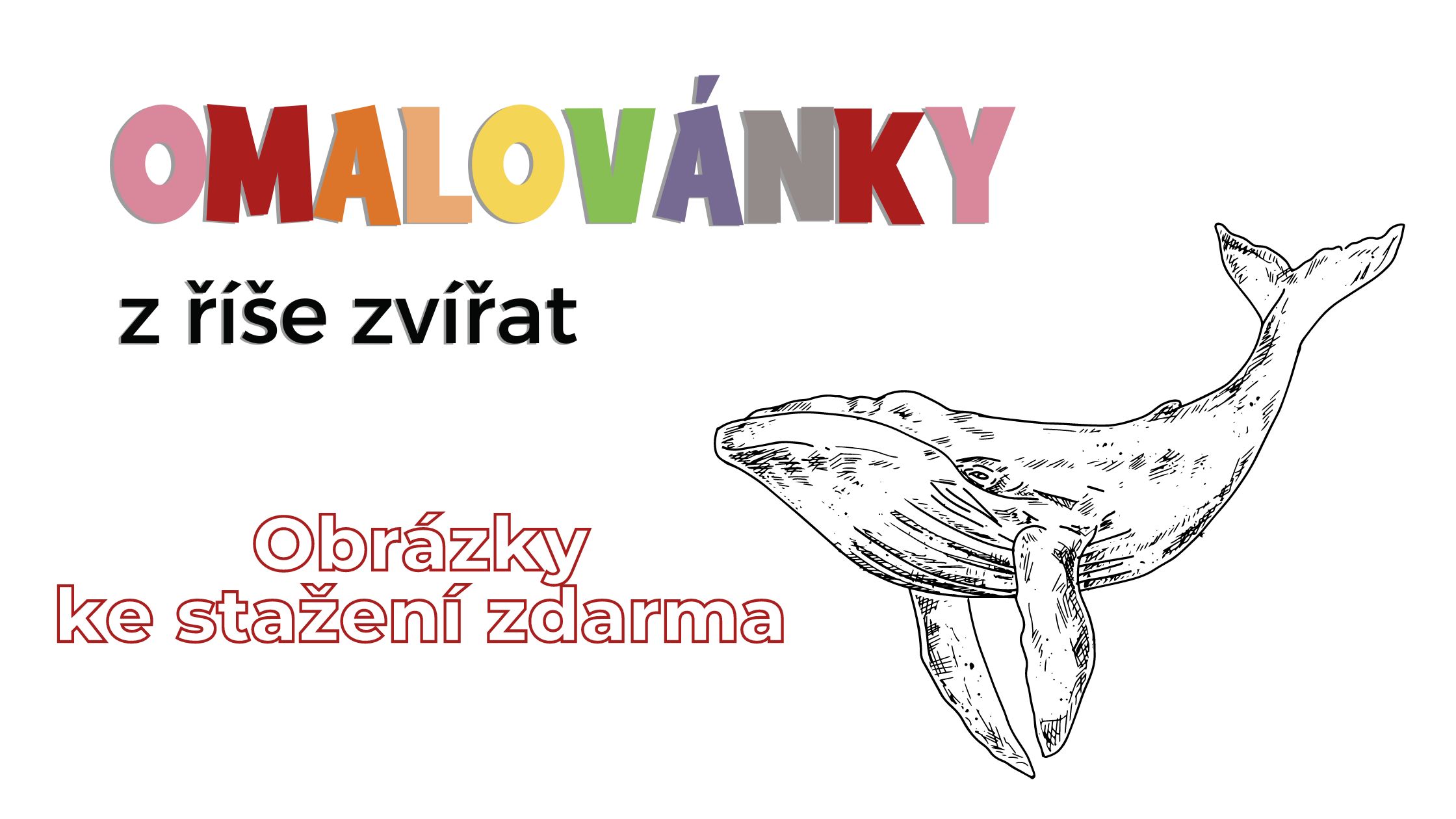 Omalovánky z říše zvířat