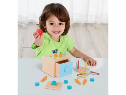 TK320 Tooky Toy - Montessori box vkládačka 4v1