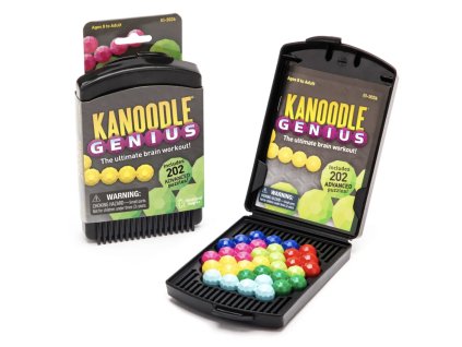 31123 4529 educational insight iq hra kanoodle genius