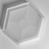 1461 silikonova forma hexagon 10 cm