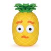 4289 2 6375 pineappledeluxe 2 sh web