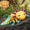 Axolotl Axík - 3D omalovánka