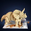 Triceratops - 3D omaľovánka