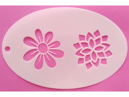 Snímek obrazovky 2025 07 29 081252