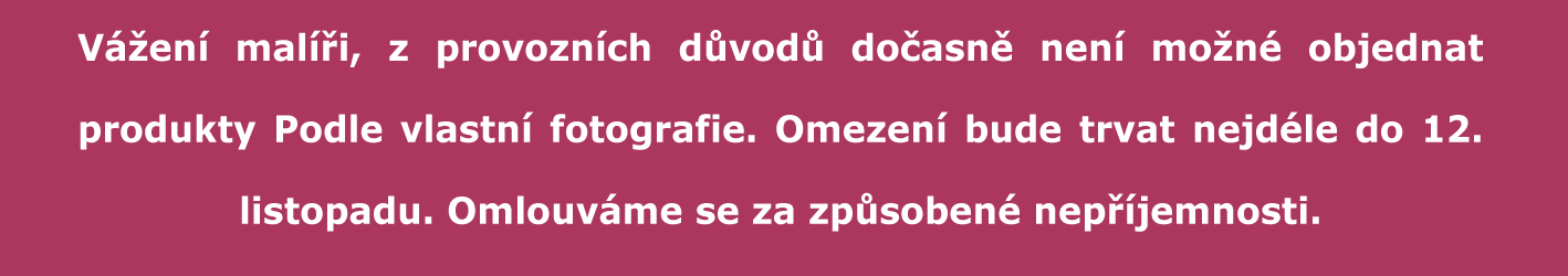 Vážení malíři, z provozních důvodů dočasně není možné objednat produkty Podle vlastní fotografie. Omezení bude trvat nejdéle do 12. listopadu. Omlouváme se za způsobené nepříjemnosti.