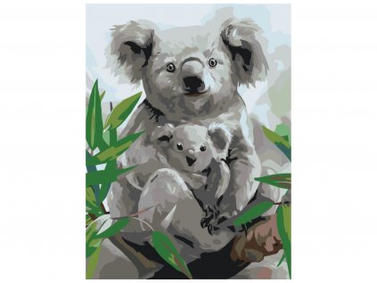 Malování podle čísel - KOALA S MLÁDĚTEM