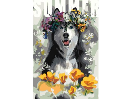 Malování podle čísel - HUSKY S KVĚTINAMI (Rozměr 60x80 cm, Rámování vypnuté plátno na rám)