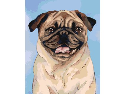 Malování podle čísel - HNĚDÝ MOPSÍK (Rozměr 60x80 cm, Rámování vypnuté plátno na rám)