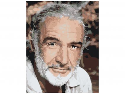 Malování podle čísel - SEAN CONNERY