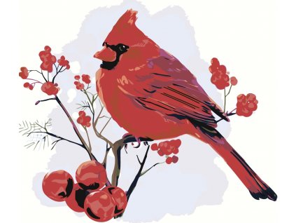 Malování podle čísel - ČERVENÝ PTÁČEK V JAŘABINÁCH (Rozměr 60x80 cm, Rámování vypnuté plátno na rám)