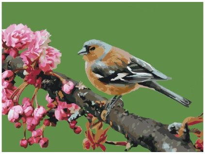 Malování podle čísel - KVETOUCÍ SAKURA A RŮŽOVÝ PTÁČEK