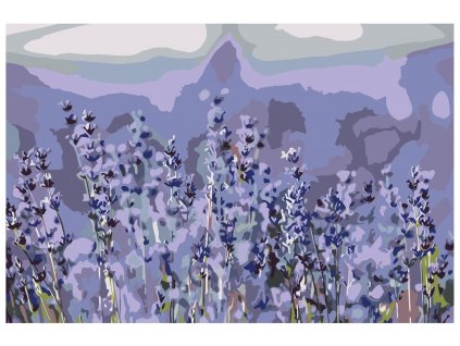 Malování podle čísel - LEVANDULOVÁ KVÍTKA (Rozměr 60x80 cm, Rámování vypnuté plátno na rám)