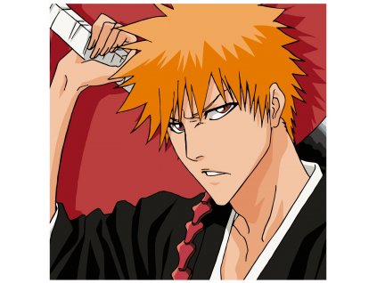 Malování podle čísel - ANIME/BLEACH 2