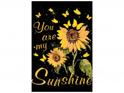 Malování podle čísel - SLUNEČNICE - YOU ARE MY SUNSHINE