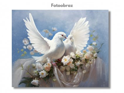 Fotoobraz - AGNIESZKA MLECZEK - POD OCHRANNÝMI KŘÍDLY