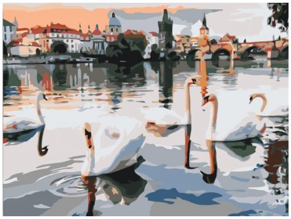 Malování podle čísel - LABUTĚ NA VLTAVĚ