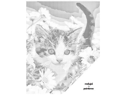 Tečkování - KOTĚ V KOPRETINÁCH