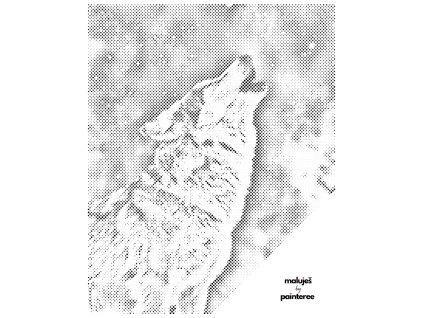 Tečkování - AGNIESZKA MLECZEK - VLK A POLÁRNÍ ZÁŘE