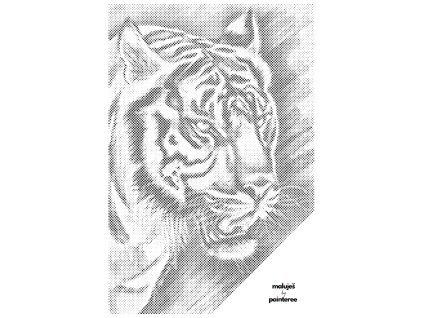 Tečkování - AGNIESZKA MLECZEK - HLADOVÝ POHLED TYGRA