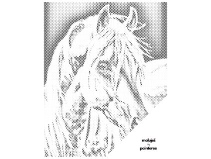 Tečkování - BÍLÝ KŮŇ II