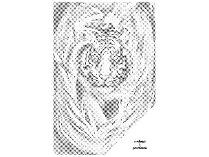 Tečkování - AGNIESZKA MLECZEK - TYGR V DŽUNGLI