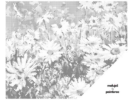 Tečkování - KOPRETINY