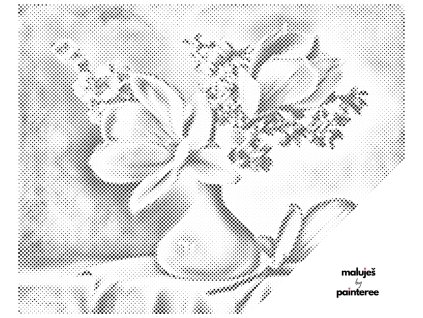 Tečkování - PIETER WAGEMANS - MAGNÓLIE