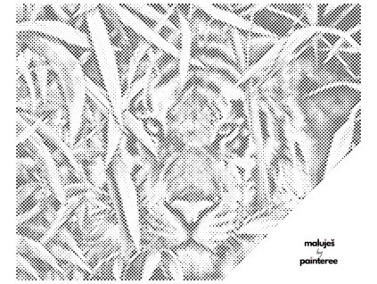 Tečkování - PREDÁTORŮV UPŘENÝ POHLED - SUSAN HOMER / IBD LICENSING UK