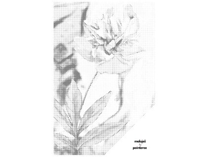 Tečkování - KVĚTINA V MĚDĚNÉ I